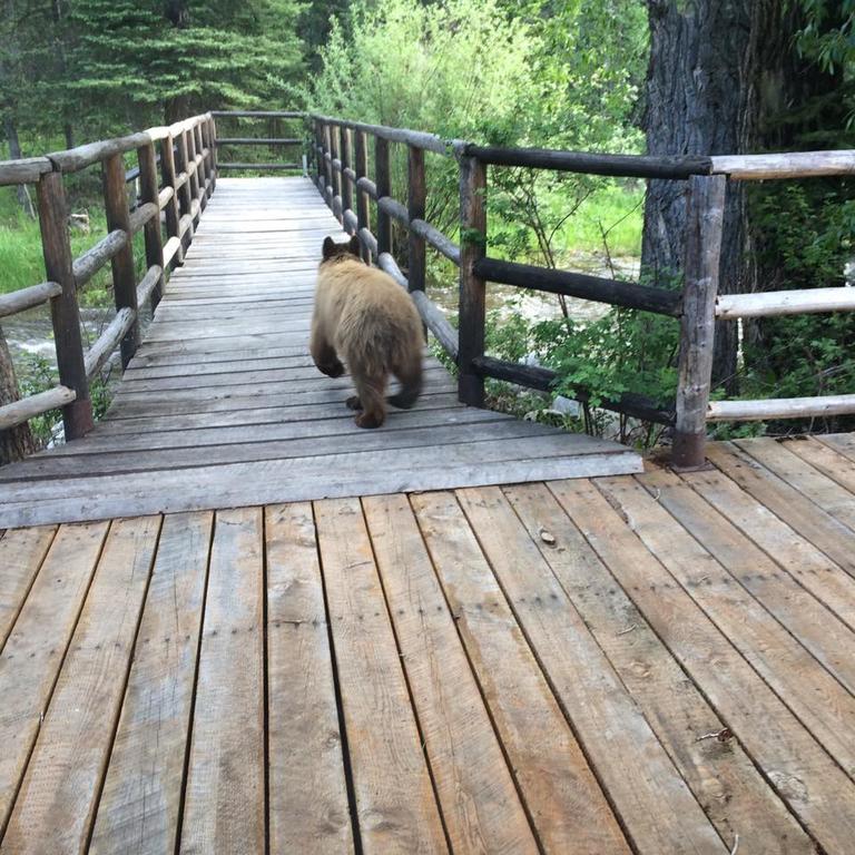 Medicine Bow Lodge Tenmile 外观 照片