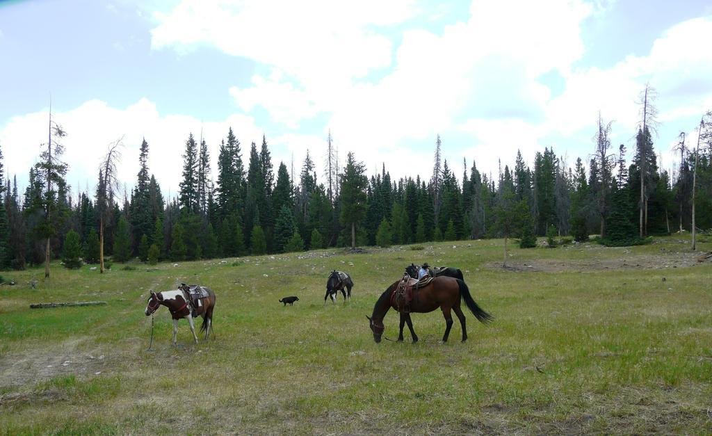 Medicine Bow Lodge Tenmile 外观 照片