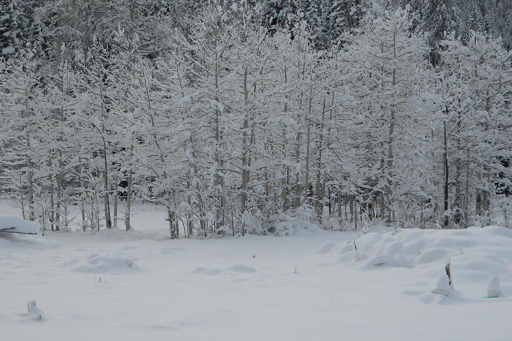 Medicine Bow Lodge Tenmile 外观 照片